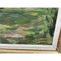 C Fleischmann? (German early 20th century): Forest Landscapes, pair oils on canvas laid on board indistinctly signed, one dated '28, 27cm x 35cm (2)