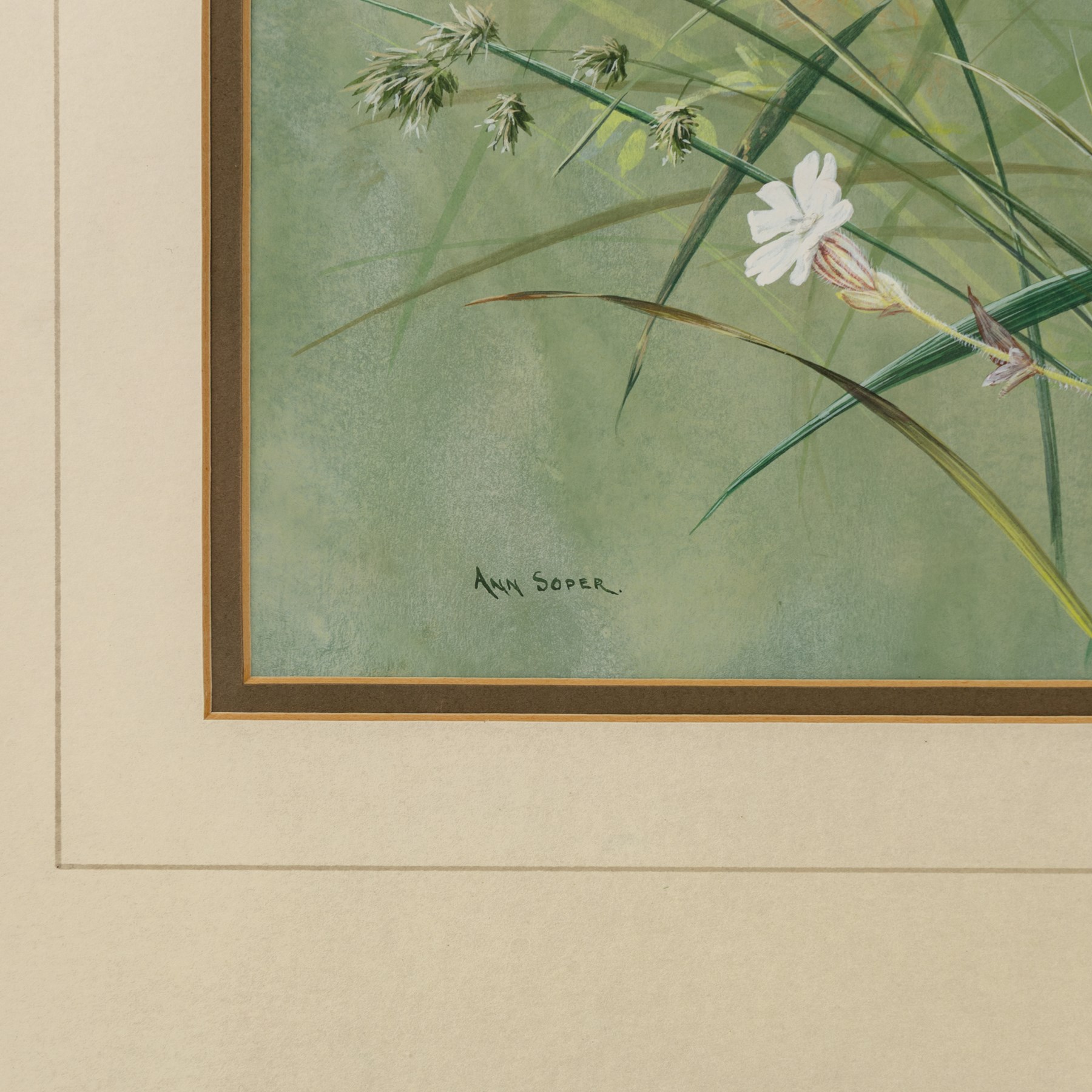 Ann Soper (British 20th century): Butterfly among Wildflowers, gouache signed 35.5cm x 28cm