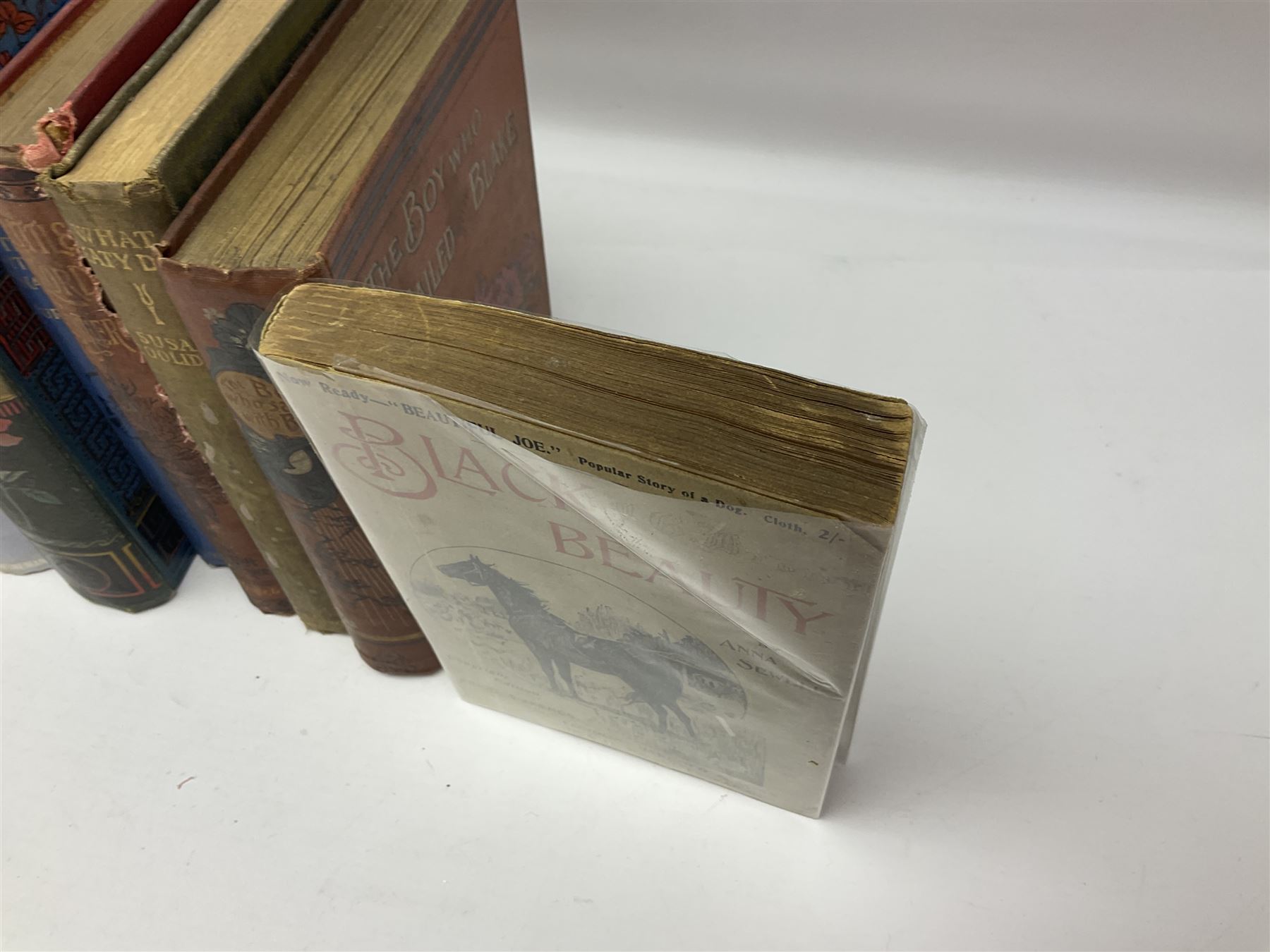 Two editions of Black Beauty by Anna Sewell - one 1899 with limp covers, the other 1915 illustrated by Lucy Kemp-Welch; seven works by Yorkshire author H.L. Gee; three novels by Patricia Highsmith; and five other books