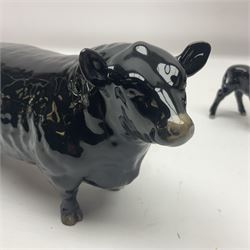 Beswick Aberdeen Angus family group, comprising bull 1562, cow 1563 and calf 1827A