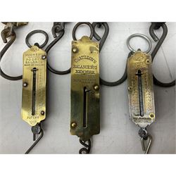 Six brass Salter spring balance scales, together with three similar smaller