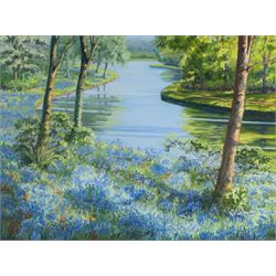 Shirley Trumble (Yorkshire 1937): 'Bluebells' and 'Sunlit Poppies II', pair of pastels signed with monogram, titled on artist's label verso max 46.5cm x 61.5cm (2)