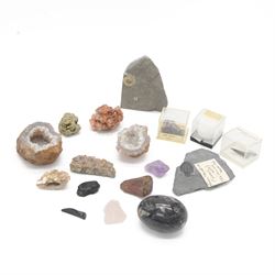 Collection of mineral and fossil specimens, including Trilobite in a matrix, shark tooth, ruby schist etc 