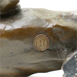 Bronze figure, modelled as a cougar in crouching pose, after Milo and with foundry mark, L42cm 