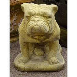  Composite garden model of a seated Bulldog, H38cm  