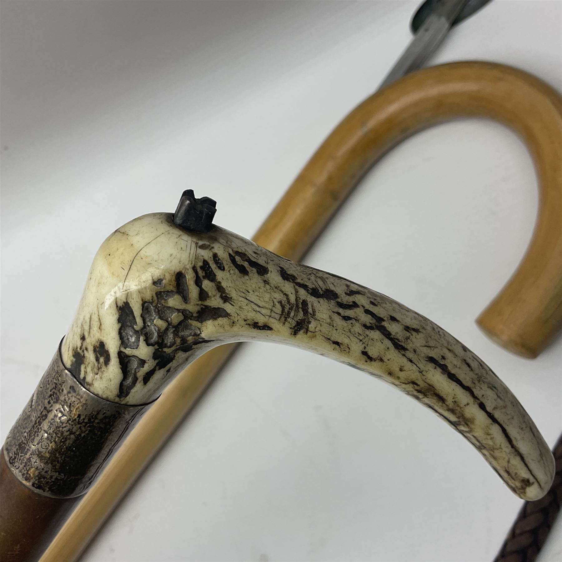 Late Victorian leather hunting whip, with antler handle and presentation engraving to hallmarked silver collars, together with a horse measuring walking stick, whip L205cm