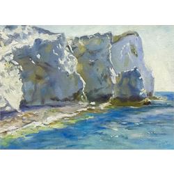 Catherine Tyler (British 1949-): 'Cliffs at Seaford - Sussex', oil on canvas signed, inscribed verso 30cm x 40cm