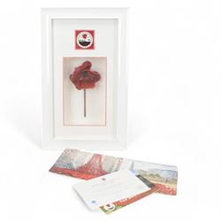 Paul Cummins (b 1977) ceramic poppy, framed from the poppy art installation 'Blood Swept Lands and Seas of Red' at the tower of London with certification of authenticity, frame H54cm