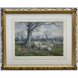 Joseph Dixon Clark (Newcastle 1849-1944): Sheep in Springtime, watercolour signed 25cm x 35cm