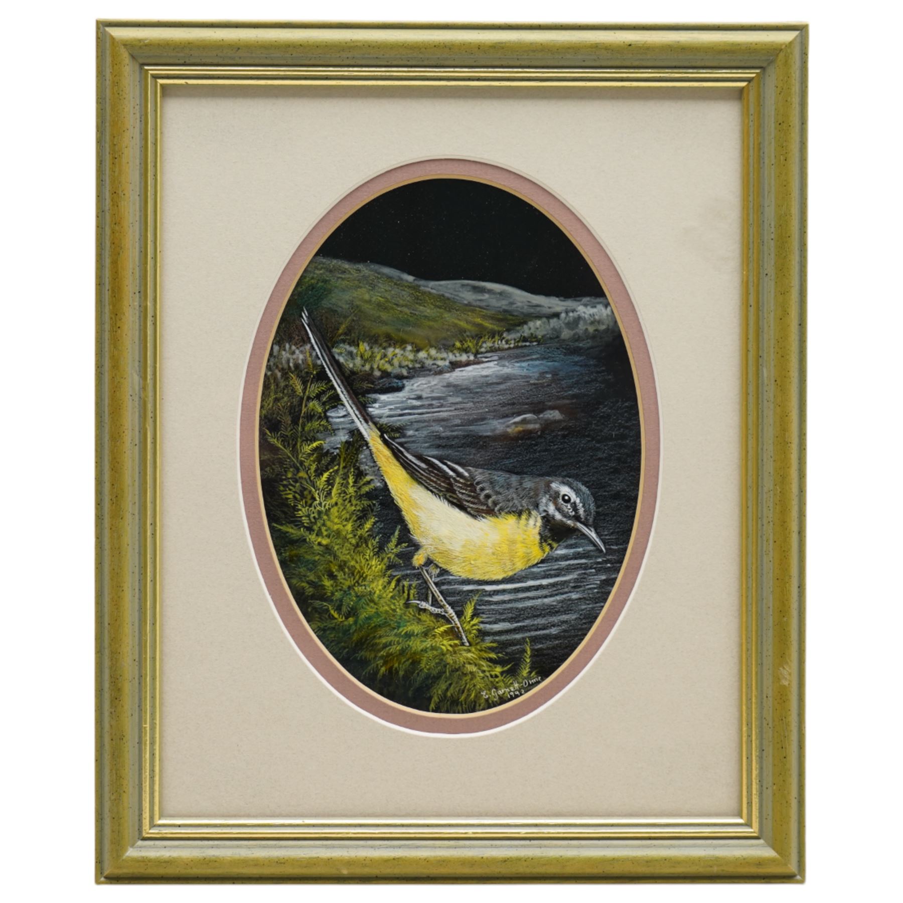 Liz Garnett Orme (British Contemporary): 'Grey Wagtail', gouache signed and dated 1992, 17cm x 13cm