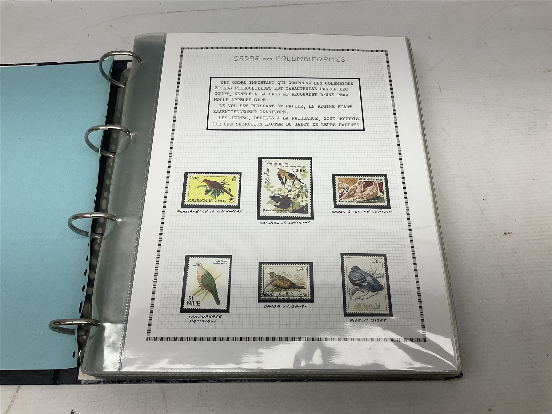 Stamps including Queen Victoria Queensland, modern Australia, King Edward VII Ceylon and Mauritius, South Africa, Gambia, Falkland Islands, Gold Coast, Ireland etc, housed in seven albums/folders and on loose album pages, in one box