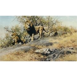 David Shepherd (British 1931-2017): 'The Two Gentlemen of Savuti', limited edition colour print signed in pencil blindstamped and numbered 1345/1500, 41cm x 68cm