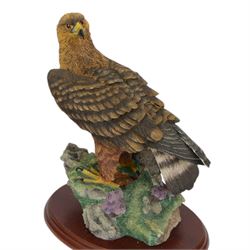 Collection of Border Fine Arts bird figures, including Pheasant No A1475, Golden Eagle No A0658, Swallow No A3457 etc