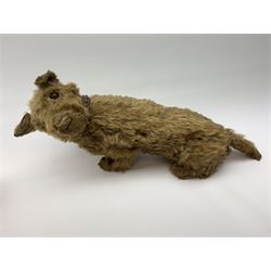 English caramel fudge coloured seated Cairn style terrier dog c1930s-50s with wood wool filling, swivel jointed head with original glass eyes, wire supported front legs and leather collar L25.5