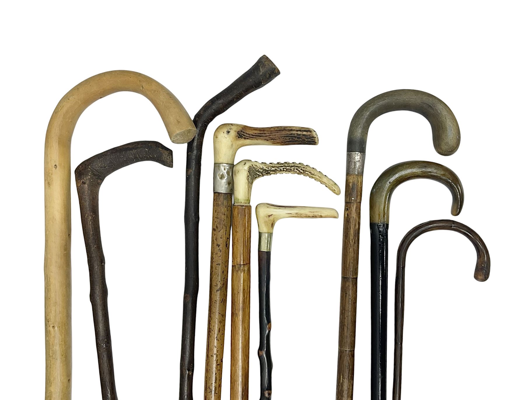 Collection of walking sticks including silver collared example and horn handles, largest L92cm 