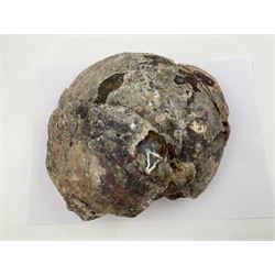 Amethyst crystal geode cluster, with well-defined crystals of various sizes, L22cm