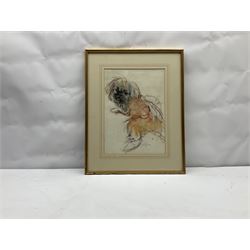 Neil Forster (British 1942-2016): Dog Portrait, pastel signed 35cm x 25cm