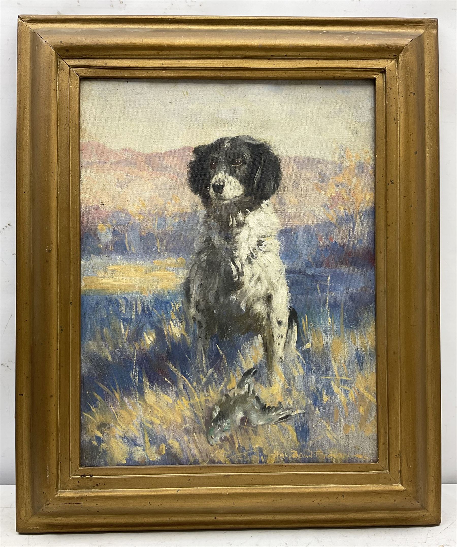 Henry Charles 'Hal' Bevan-Petman (Scottish 1894-1980): Portrait of a Spaniel, oil on canvas signed and dated '52, 37cm x 29cm