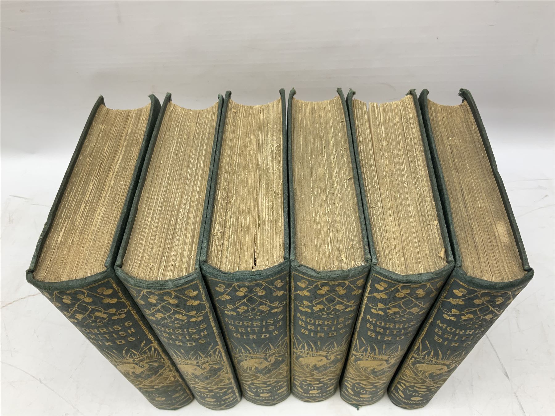 Morris, Rev Francis Orpen; A History of British Birds, six volume set. In original gilt embossed cloth, with approximately 358 hand coloured plates