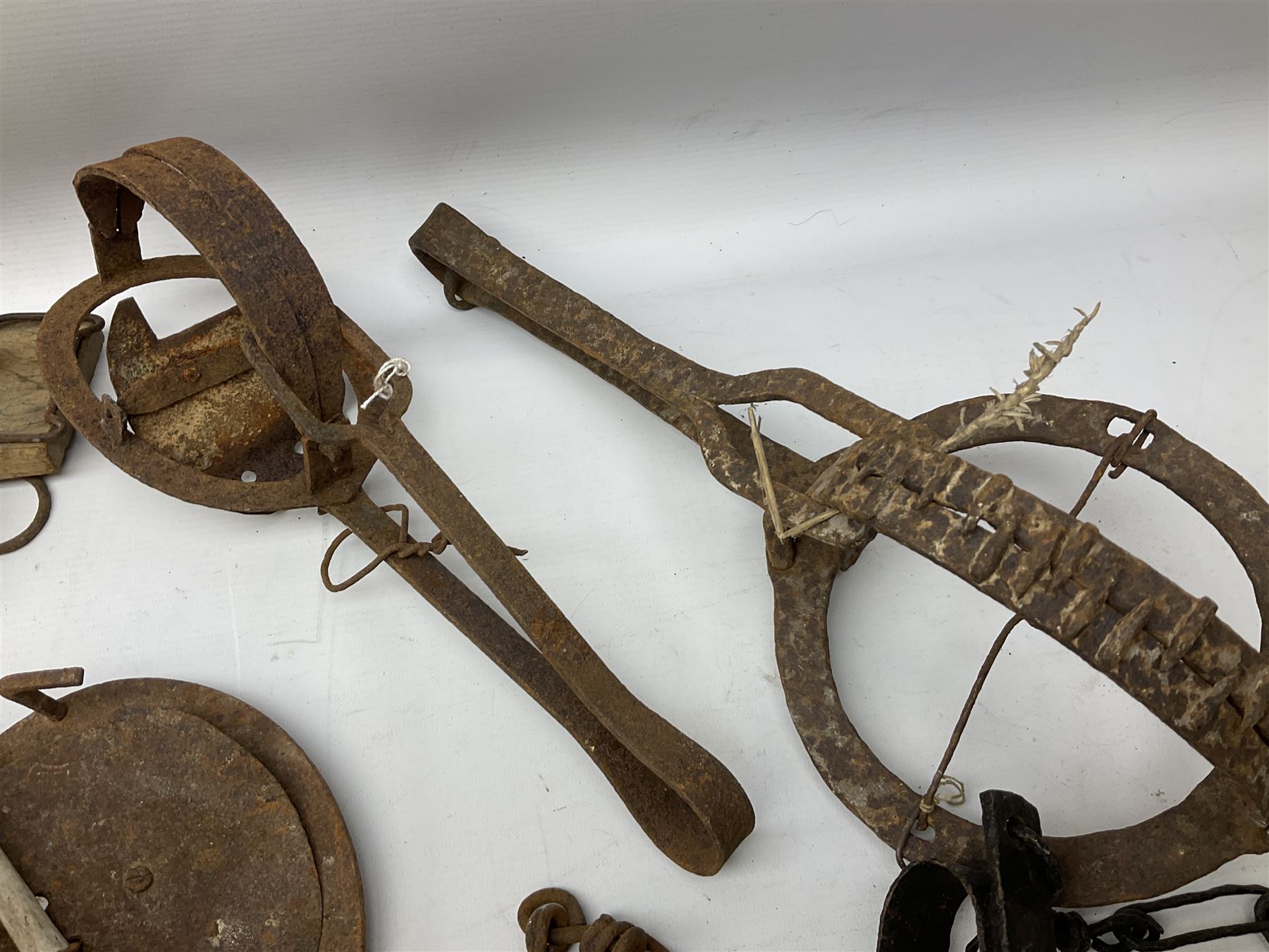 Quantity of animal traps including, gin traps, mole traps, Henri Marty wirework cage trap etc. Auctioneer's Note: These traps are sold as artefacts for ornamental purposes only as the use of some of them is illegal.