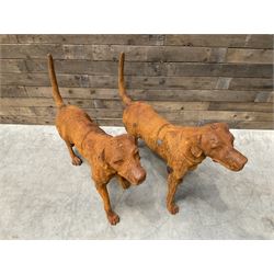 Pair of life-size heavy cast iron garden Hunting dogs
