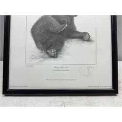Gary Hodges (British 1954-): 'Brown Bear Cub', limited edition monochrome print signed and numbered 239/850 in pencil 26cm x 23cm