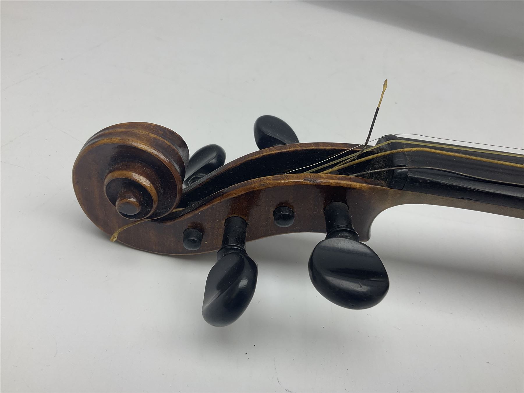 German trade violin c1900 with 35.5cm two-piece maple back and spruce top; bears label 'Made in Germany Apollo Class 6 No.2132' L59cm; in carrying case with two bows