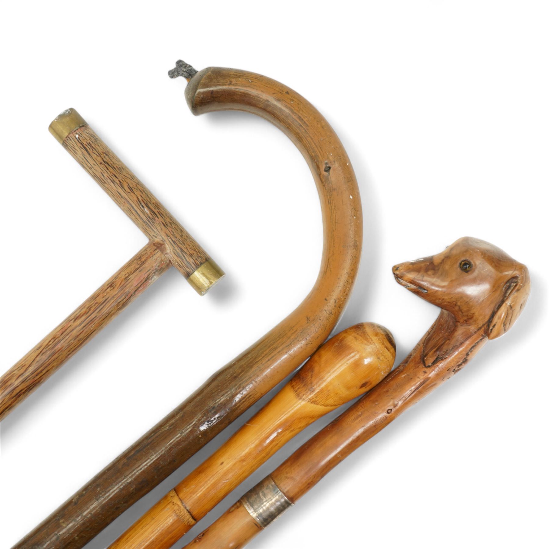 Thornwood walking stick with carved dogs head handle and seven other sticks