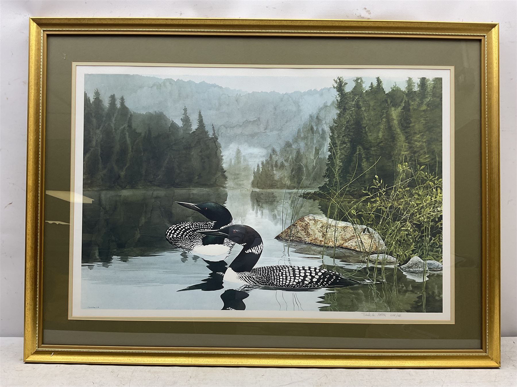 Frank DeMatteis (Canadian 1952-): Great Northern Divers, limited edition print signed and numbered 244/500, 58cm x 87cm