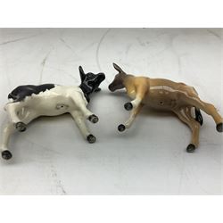 Seven Beswick cow figures, to include Friesian bull Ch. ''Coddington Hilt Bar'' no. 1439a, Friesian cow Ch. 'Claybury Leegwater' no. 1362a and Friesian calf no. 1249C, Aberdeen Angus calf 1827a, Jersey cow no. 1345 etc, all with printed mark beneath  