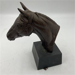 Bronzed composite bust of a horse's head, modelled by Doris Lindner, upon rectangular base, signed to base, H20.5cm