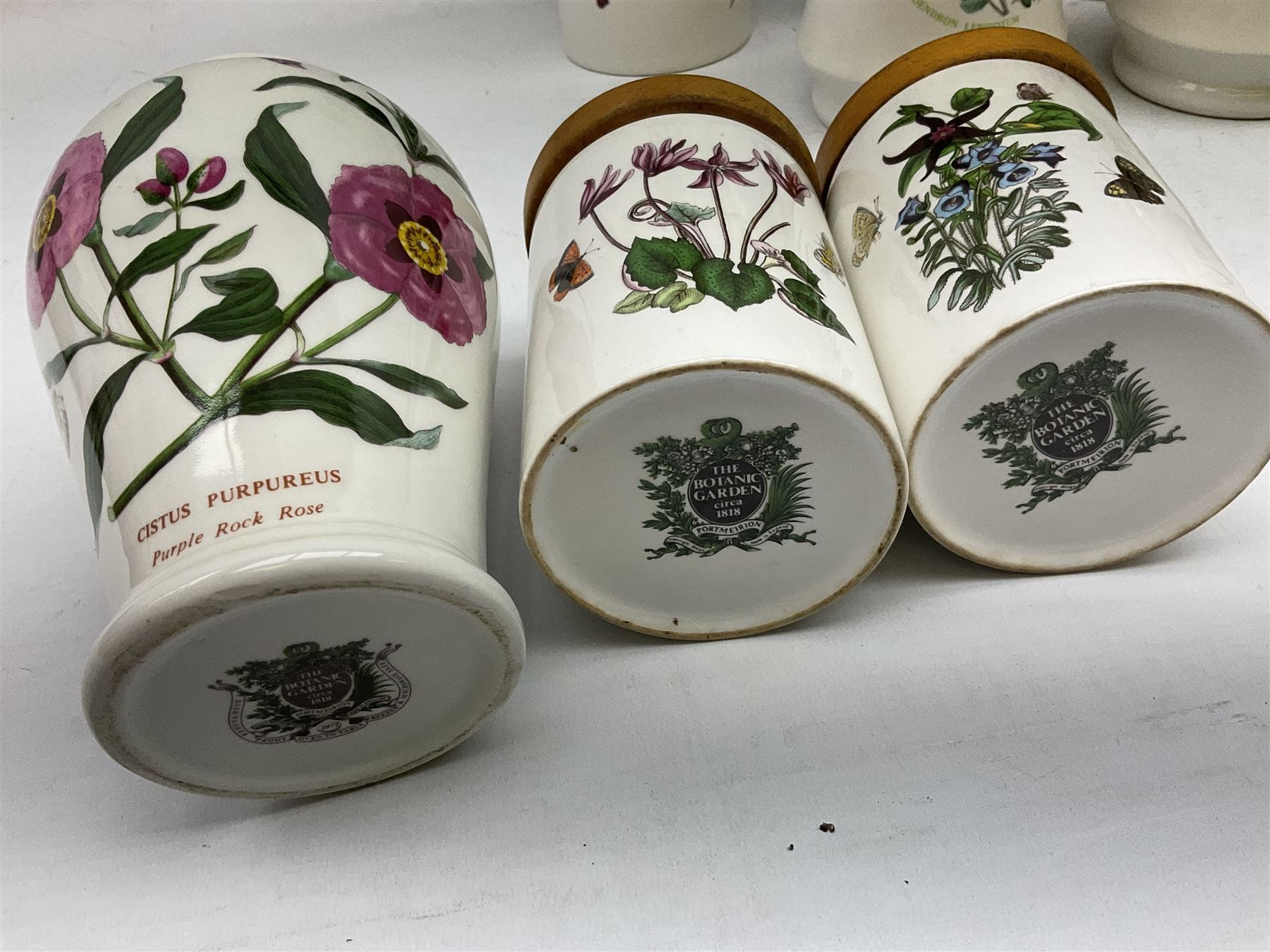 Quantity of Portmeirion The Botanic Garden pattern storage jars of various sizes, planters, vases etc (approx 47)  