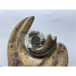 Goniatite sculpture, displaying two Goniatites within a polished and shaped matrix, age; Devonian period, H56cm