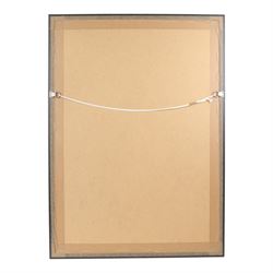 World Championship Boxing poster, signed by Joe Calzaghe and Juan Carlos Gimenez (El Toro), framed, H89cm