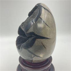 Dragon septarian specimen egg,  with black druzy crystals to the centre, upon a stepped wooden base, H18cm  