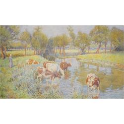 Richard Henry Brock (British 1871-1943): Cows Watering in a River, watercolour signed and dated 1906, 25cm x 42cm