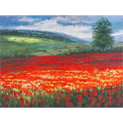 Shirley Trumble (Yorkshire 1937): 'Bluebells' and 'Sunlit Poppies II', pair of pastels signed with monogram, titled on artist's label verso max 46.5cm x 61.5cm (2)