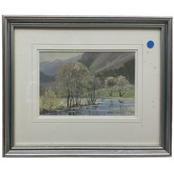 Peter Shutt (British 1926-2016): River Derwent - near Grange-in-Borrowdale, pastel signed, labelled verso 12cm x 18cm