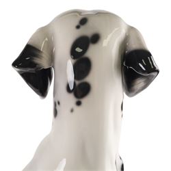 Life-sized model of a seated Dalmatian, H80cm