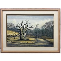 Jack Rigg (British 1927-2023): 'The Laund Oak' at Bolton Abbey, watercolour and ink signed inscribed and dated 1987, further inscribed verso 37cm x 55cm 
Notes: the Laund Oak was thought to be one of the oldest trees in England, being at least 700 years old but possibly older; it was sadly felled in a storm in January 2017.
