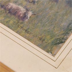 George Frederick Cutter (British 1940-): Sheep Resting in Tall Grass, pastel signed 17.5cm x 22.5cm; English School (19th century): Waves Breaking on a Rocky Coastline, impasto oil on board indistinctly signed max 19.5cm x 28cm