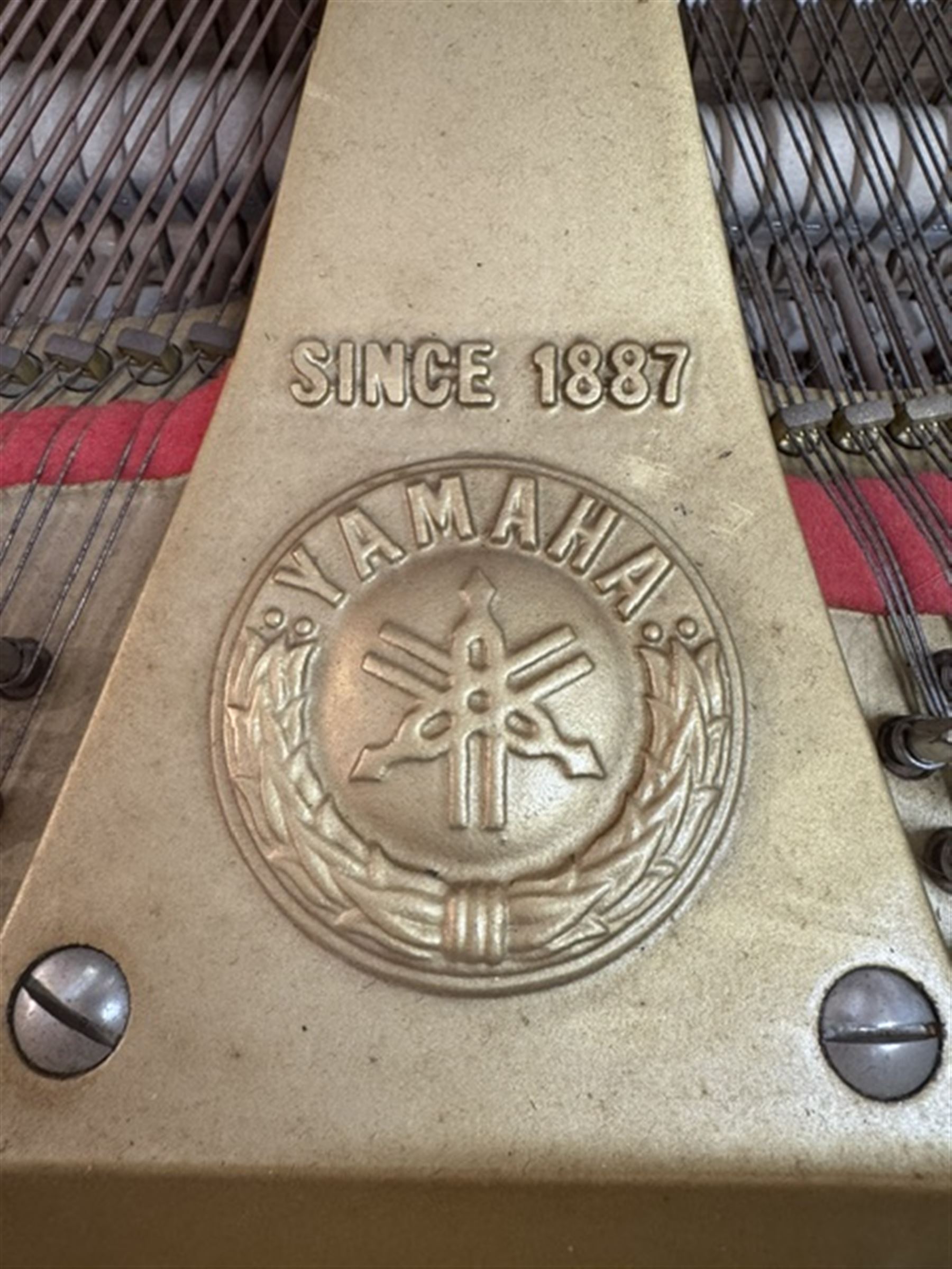 Yamaha - Baby Grand (5' 3