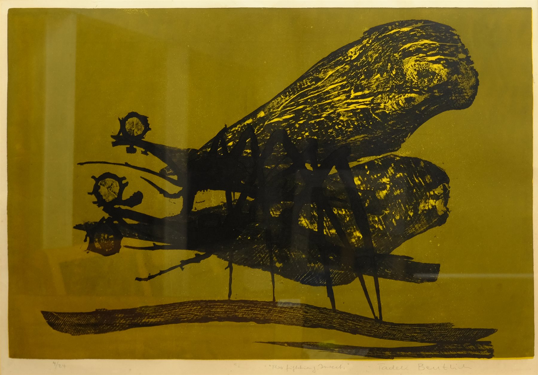  Tadek Beutlich (Polish/British 1922-2011): 'Two Fighting Insects', woodcut signed, titled and numbered 4/24 in pencil 56cm x 81cm  