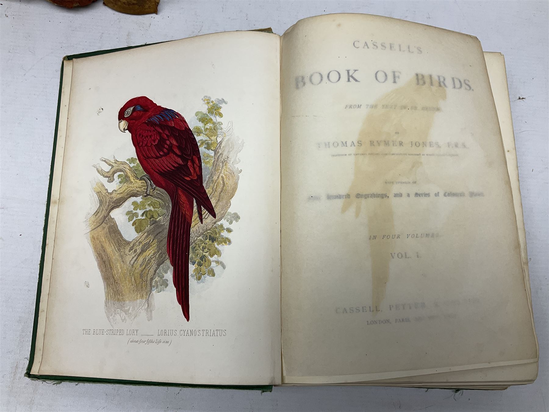Jones, Thomas Rymer; Cassell's Book of Birds, London, Cassell, Petter & Galpin, volumes I & III, with coloured plates, Hamerton, Peter Gilbert; Landscape, London, Seeley & Co, two copies and The Garden An Illustrated Weekly Journal of Horticulture in all its Branches, London, with coloured plates  