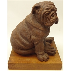  Sally Arnup (1930-2015) stoneware model of a seated Bulldog puppy, on rectangular oak stand, H40cm   