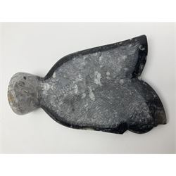 Small Goniatite and  Orthoceras sculpture, within a polished and shaped matrix, H20cm
