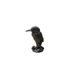 Filled silver kingfisher model with blac