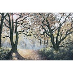 Neil Spilman (British 1951-): A Woodland