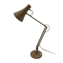 Angle-poise lamp and an Islamic prayer mat