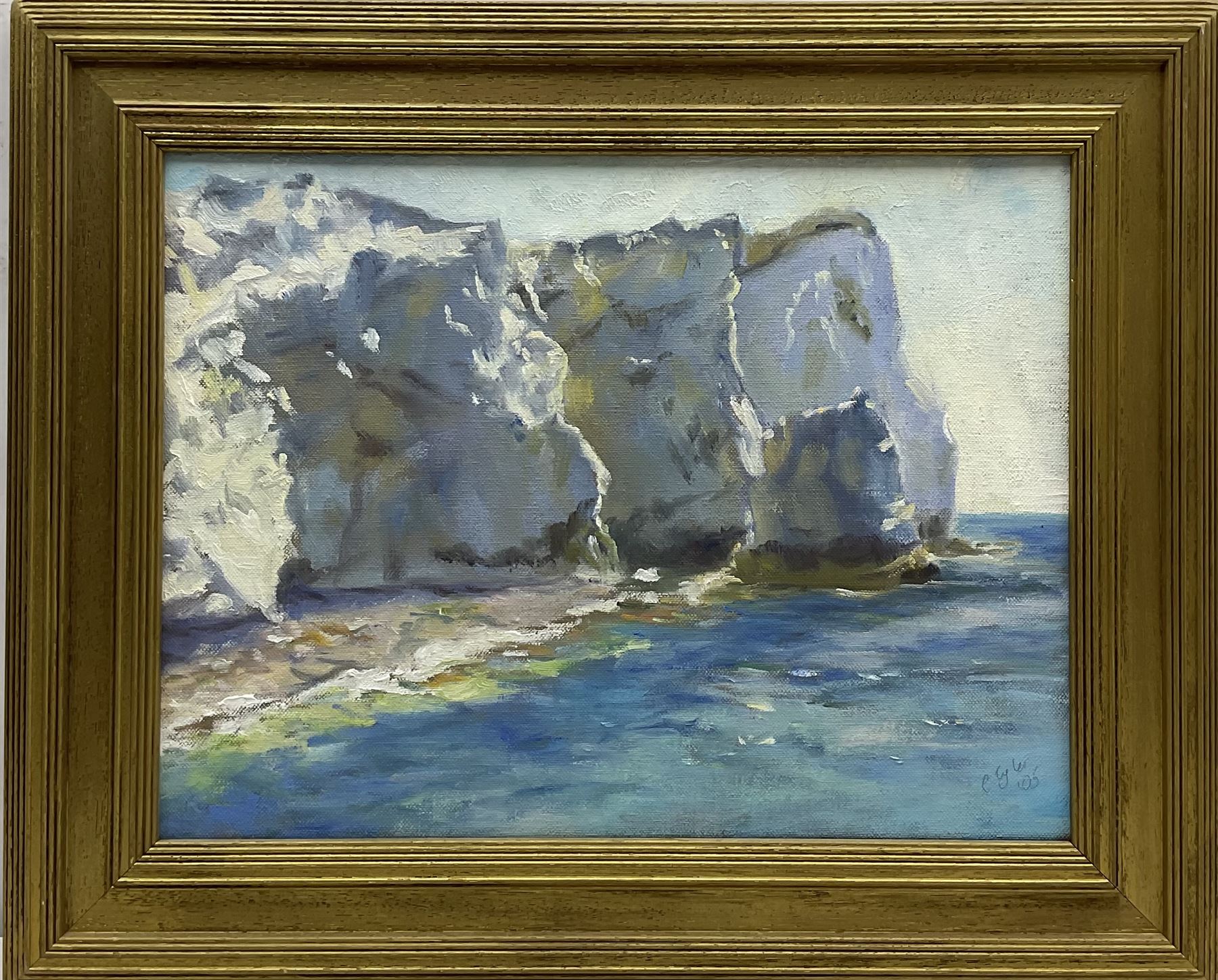 Catherine Tyler (British 1949-): 'Cliffs at Seaford - Sussex', oil on canvas signed, inscribed verso 30cm x 40cm